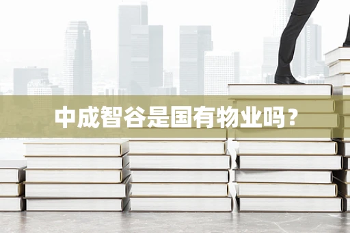 中成智谷是国有物业吗？