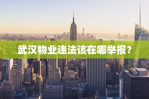武汉物业违法该在哪举报？