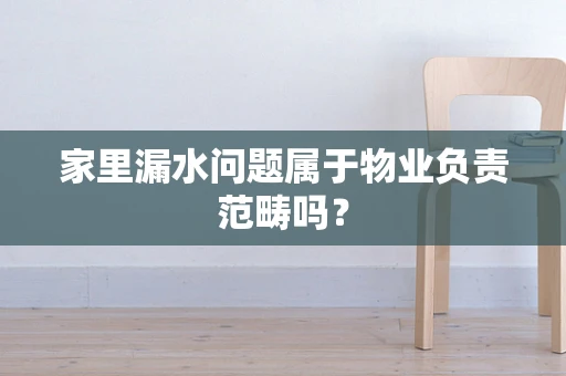 家里漏水问题属于物业负责范畴吗？