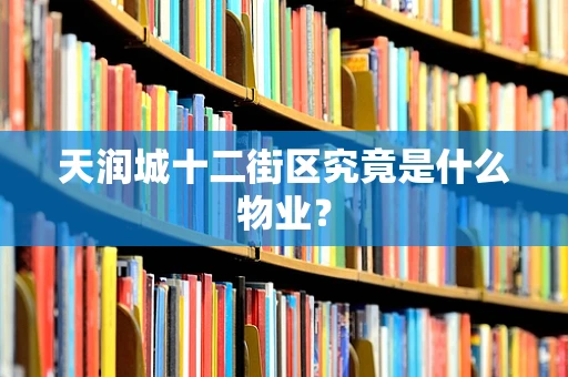 天润城十二街区究竟是什么物业？