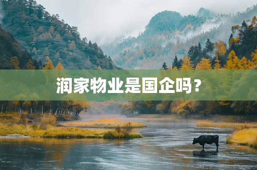 润家物业是国企吗？