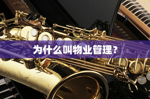 为什么叫物业管理？