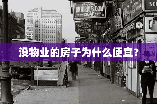 没物业的房子为什么便宜？
