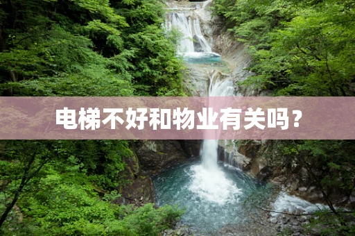 电梯不好和物业有关吗？