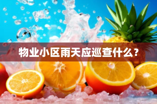 物业小区雨天应巡查什么？