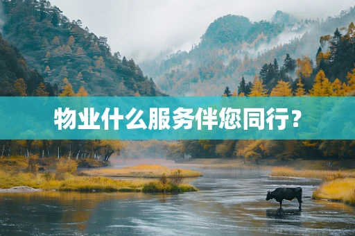 物业什么服务伴您同行？