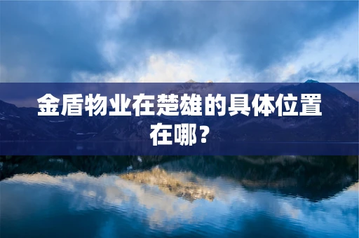 金盾物业在楚雄的具体位置在哪？