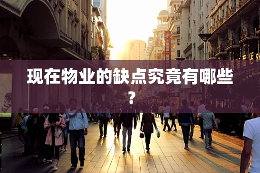 现在物业的缺点究竟有哪些？