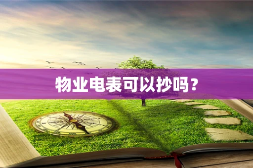 物业电表可以抄吗？
