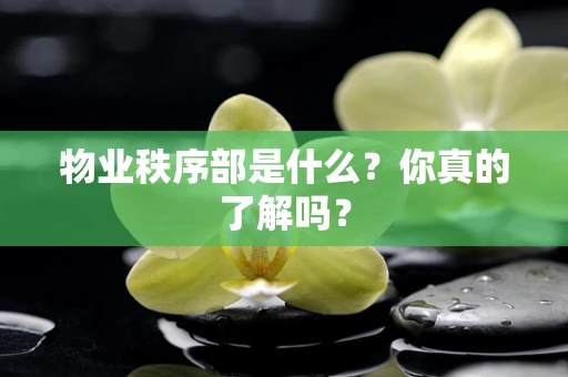 物业秩序部是什么？你真的了解吗？