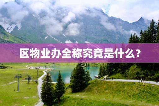 区物业办全称究竟是什么？