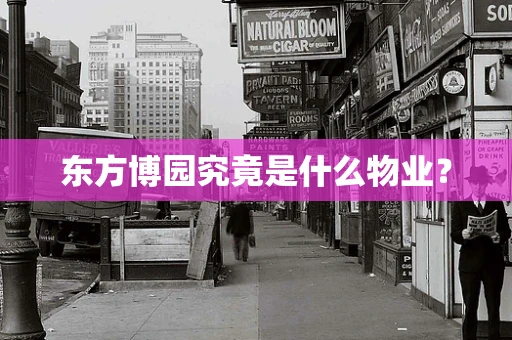 东方博园究竟是什么物业？