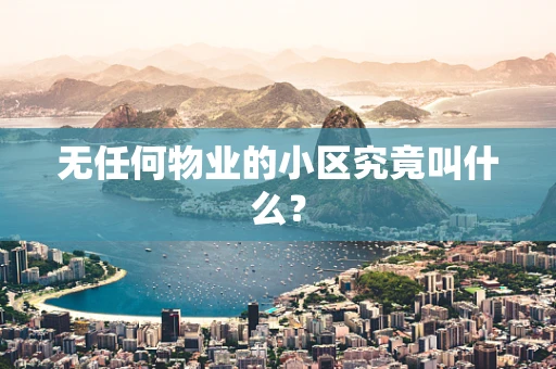无任何物业的小区究竟叫什么？