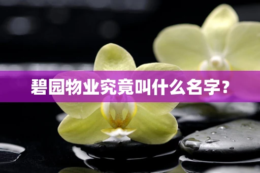 碧园物业究竟叫什么名字？