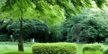 龙湖物业是全额公积金吗?