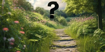 物业真的负责修路吗？