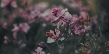 合肥祥源物业规模大吗？