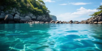海龙湾物业真的靠谱吗？